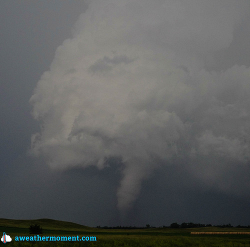 Stovepipe tornado we observed. (Taken by Matt)