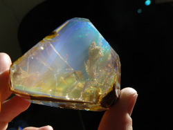 anti-biotico:  cuteys:  stunningpicture:  Ethiopian Welo Opal New gem found looks like the ocean in rock  omg it does  ;_; 