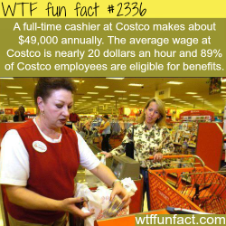 wtf-fun-factss:  Full time cashier at Costco salary - WTF fun facts 