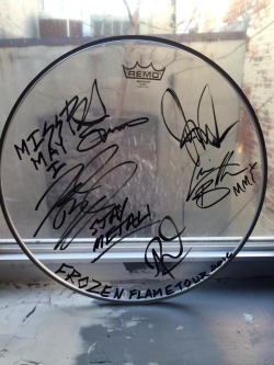 Miss May I signed drumhead