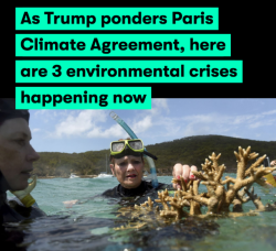 the-future-now: President Donald Trump could announce his long-awaited final decision on whether or not to pull the U.S. out of the Paris Agreements on climate change any day now. Meanwhile newly unveiled research shows the growing  effects of climate