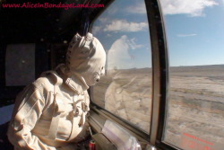 mistressaliceinbondageland: 3,000 miles in bondage on a train, could you handle it? Are you ready to take the ultimate bondage vacation? See the world without leaving your compartment or your strait jacket. 6-part movie now posted at http://www.aliceinbon