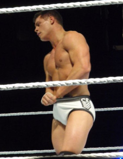 rwfan11:  Cody Rhodes …not sure what he is looking for, but I am more than willing to help him find it! ;-) 