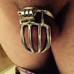 myslavelover:100 Followers!😍  Time to show you my new Chastity device😳 Steelworxx Looker 01 with Plug.