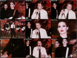 Might as well face it &hellip; (a favourite Robert Palmer tune, “Addicted to Love” &hellip; not only a great song, but a mesmerizing video)