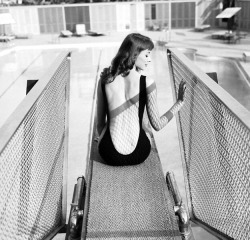 kundstphoto:  The Real Jessica Rabbit - Vikki ‘The Back’ Dougan was an actress in the 50’s who made her name by wearing, unheard of, super sexy backless dresses. She was the actual inspiration for Jessica Rabbit in ‘Who Framed Roger Rabbit?’