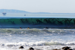 androdjinni:phaedrajohnsonlives:evil-frog:sixpenceee:Although it looks like a sea monster army is about to feast on some surfer guts, those “tentacles” are in fact just seaweed along Innsmouth Beach in New England.yes… just relax as the “seaweed”