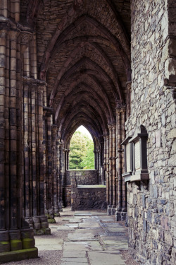 marbellemarbeau:  Holyrood Abbey, Edinburgh. Photography by Melissa Hill 