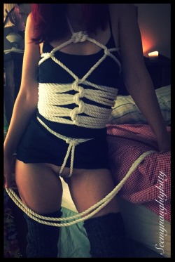 ~ Kitty all tied up.. Practice makes perfect! 