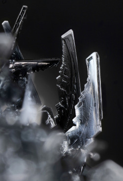 creatio-ex-materia:  iodine crystals (by fluor_doublet) 