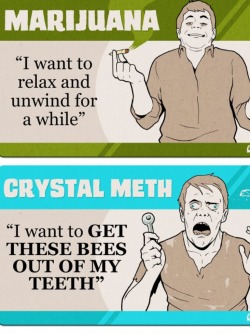 thegoddamazon:  werockssocks:  xcellyx:  dumpyourweedbrah:  How the drugs you do, describe who you are. Credit to College Humor.  Lmfao  Accurate  &ldquo;I’m going to get EVERYTHING done FOREVER.&rdquo; LMFAOO  rofl. xD