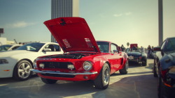 yessir-youarefat:  Shelby GT500 widebody Carroll Shelby Cruisein, Petersen Automotive Museum 