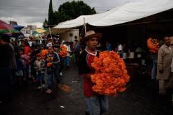de-laura:    Puebla City, México, November 2013 Like it is a tradition, each 1rst and 2nd of November it is celebrated the traditional Día de Muertos (Day of Dead), celebration that has its roots in the pre-hispanic culture. Nowadays the celebration