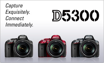 Transcode Nikon D5300 MOV video to DNxHD for Editing in Avid MC Tumblr_inline_mz4tdrZye21rddmo7