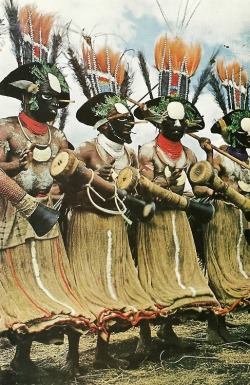 vintagenatgeographic:    New Guinean warriors pounding drums National Geographic | July 1969    