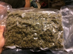 420lride420:  1 Pound of Train Wreck. The stench is overwhelming 