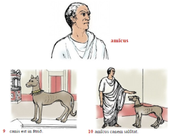 accent-aigu:  tfw you’re a merchant in pompeii coming to your friend’s house to make a deal and there’s a dog in the atrium  