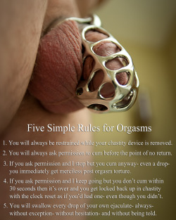 locked2012:  To reiterate,.. these simple rules, though different than another set I posted earlier will also ensure a well trained sub.. The most important is still the first.. a male cannot be trusted after being teased and denied.. do not waste all