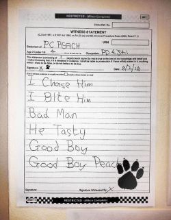 flatbear:  tinysunkern:  Prosecutors in the UK asked for a witness report from the officer PC Peach, not knowing that Peach is the name of a police dog from a West Midlands station. Officers jokingly filled in the form above but are now being disciplined