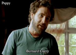 el-mago-de-guapos: Bernard Curry Puppy (2005) 