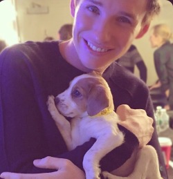 bespokeredmayne:  And they call it puppy love: Eddie Redmayne with adoptable pup at Kelly &amp; Michael Live studios in Manhattan Nov. 6, 2014. (Eddie is spoken for.) 