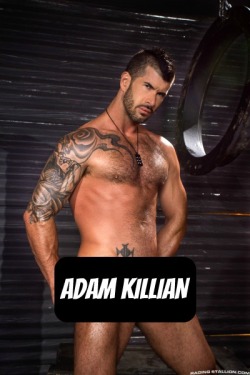 ADAM KILLIAN at RagingStallion - CLICK THIS TEXT to see the NSFW original.  More men here: http://bit.ly/adultvideomen