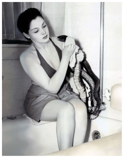 ZoritaVintage 40’s-era press photo features Zorita toweling off one of her Indigo Snakes, after giving it a bath… 