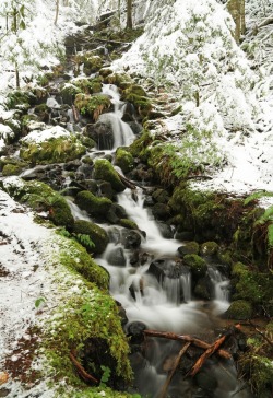 oculi-ds:  “Winter Stream” by James D Murray 