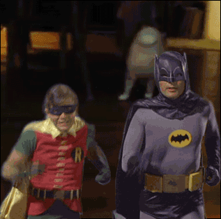 batman and robin cat lover gif | WiffleGif