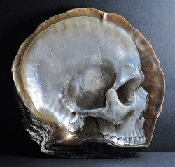 ancient-serpent:  Beautifully Realistic Skulls Carved Into Mother Of Pearl Shells by Gregory Halili