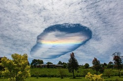 sixpenceee:    Fallstreak holes   The beautiful phenomenon pictured above, was captured floating high above Eastern Victoria, Australia. It almost appears to be a portal to another dimension, complete with a rainbow beckoning to the other side, but there