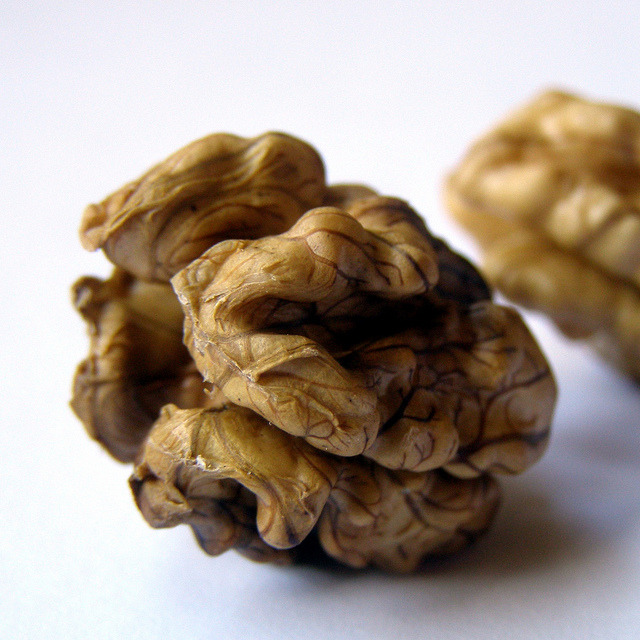 walnut by erix! on Flickr.