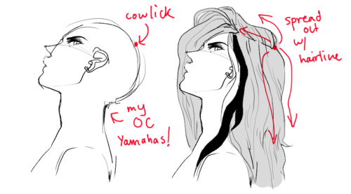 Life Drawing Post: do you have any tips on drawing hair? [feedly]