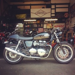 xdivla:  xdivla:  Picked up my Thruxton today from @motochopshop after the front end got cleaned up with ClipOns, flat gauge, black headlight bucket and ears, smaller turn signals and I love it. Can’t wait to get more done. Thanks Kev!! (@motochopshop)