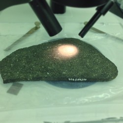 thebrainscoop:  Part of the Allende meteorite, from which nanodiamonds aka StarStuff were derived by Curator of Meteoritics Philipp Heck. This is the largest meteorite of its kind to ever land on earth. The specks and dots are calcium-aluminum-rich inclus