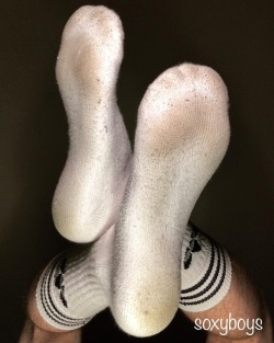 youngbondagelover:playing with my used Adidas socks 🧦😷😋😈 #socks #adidas #adidassocks #whitesocks #whitesox #sockswag #sockslave #gaysocks #sockboys #sockboy #sole #soles #feet #gay #gayboy #gayboys #gaysocks #gayfeet #sockfetish #slaveboy