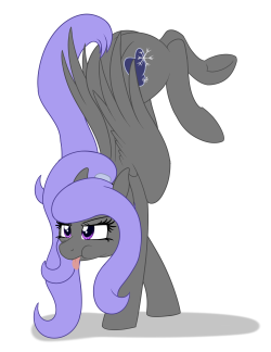 whatisapokemon:  phoenixswift:  45 minute speed drawing! whatisapokemon and I are trying to do this regularly. Our target this time was malwinters and their OC Nightwind.Hope they like these!   Silly horse being silly~This was fun.  x3
