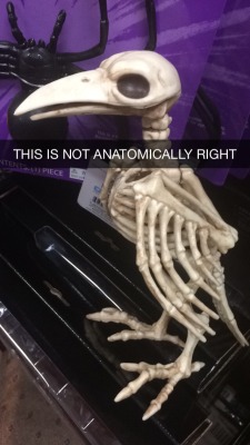 cyan-biologist:  reallymadscientist:  thefingerfuckingfemalefury:  ayellowbirds:  sorceringing:  the-vegan-muser:  The scariest part of Halloween is how anatomically incorrect these decorations are.  cyan-biologist  listen, sometimes necromancers get