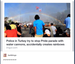 dimir-charmer:  I’ve found it. The epitome of terrible ally culture. This is it. Jokes on them, they were using water cannons  to break up a pride parade but lol they made rainbows!! A victory for The Gays, what do you mean state-sanctioned violence