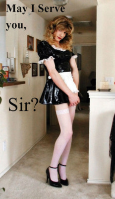 sissy-stable:  Do you want to offer your services to a Man ?  I want a sissy maid too.