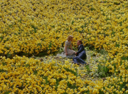 permutatio:  &ldquo;I loved a man who could never love me back. I was living in a fairytale.&rdquo; Big Fish (2003) dir. Tim Burton  
