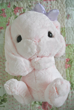 pastel-cutie:  my loppy plush came in today and it’s so big n fulffy aaa you can buy one here~ &lt;3 