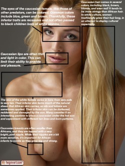 interracial-bbc-fantasies:  Anatomy of the white female, an educational tool for Africans 