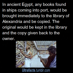 justasweird:  nerdgirl-to-the-rescue:  ohmygil:  ultrafacts:aussietory: third-way-is-best-way:  tuxedoandex:  kvotheunkvothe:  ultrafacts:  Source For more facts follow Ultrafacts  EVERY TIME SOMEONE BRINGS UP THE LIBRARY OF ALEXANDRIA I GET SO ANGRY.