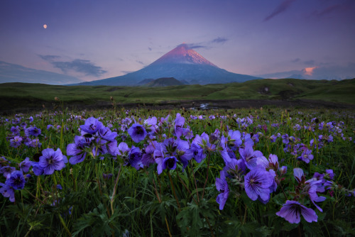 expressions-of-nature:Volcanoes of Kamchatka, Eastern Russia by Andrey Grachev