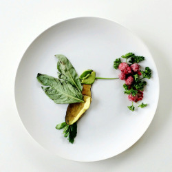 culturenlifestyle:  Culinary Canvas by Lauren Purnell Lauren Purnell is the mind and heart behind Culinary Canvas, a Tumblr blog which hosts a range of food art made with fresh and vibrant ingredients on a plate. The compositions consist of animal and