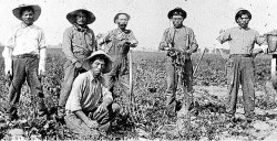 todayinlaborhistory:  Today in labor history, February 11, 1903:  Japanese and Mexican laborers unite to form the Japanese-Mexican Labor Association to fight the labor contractor responsible for hiring at the American Beet Sugar Company in Oxnard, Califor