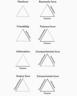 Per fare chiarezza nel descrivere l'amore e le relazioni amorose c'è una semplice teoria psicologica elaborata da Robert Sternberg, che si chiama: &ldquo;La teoria triangolare dell'amore&rdquo; che vede l'amore come il risultato di tre componenti: Intimit