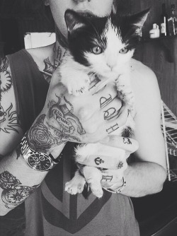 #cat #gato #tattoo #tatuagens