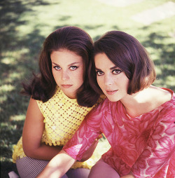  Sisters Lana and Natalie Wood, mid-1960s 